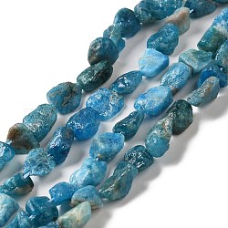 Raw Rough Natural Apatite Beads Strands, Nuggets, 5.5~14x6.5~10x4.5~8mm, Hole: 1mm, about 44~46pcs/strand, 14.96''~16.14''(38~41cm)