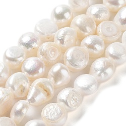 Brins de perles de culture d'eau douce naturelles, poli des deux côtés, niveau 2a+, couleur de coquillage, 9~10.5x10~11x7.5~9mm, Trou: 0.6mm, Environ 34~36 pcs/chapelet, 13.98'' (35.5~36.5 cm)