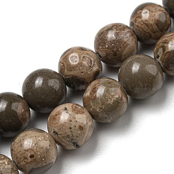 Fili di perline di pietra naturale mappa/pietra di picasso, tondo, 8mm, Foro: 0.8 mm, circa 49pcs/filo, 15.59~15.71'' (39.6~39.9 cm)
