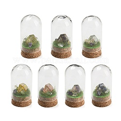 Natural Gemstone Nuggets Display Decoration with Glass Dome Cloche Cover, Cork Base Bell Jar Ornaments for Home Decoration, 30x58~61mm