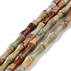 Fili di perline naturali aqua jasper, bambù, 5.5x13mm, Foro: 1 mm, circa 31pcs/filo, 16.26'' (41.3 cm)