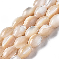 Fili di perle di conchiglia trochid naturale / trochus, ovale, colore conchiglia, 9x6mm, Foro: 0.7 mm, circa 44~45pcs/filo, 15.35 pollice (39 cm)