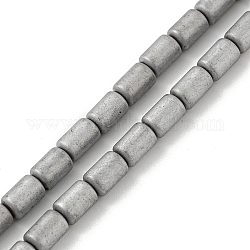 Brins de perles d'hématite non magnétiques synthétiques galvanisées, mat, colonne, platinée, 3.7~3.8x5.8~5.9mm, Trou: 0.8mm, Environ 65 pcs/chapelet, 15.75'' (40 cm)