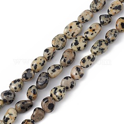 Natur Dalmatiner Jaspis Perlen Stränge, Chip, 5~11x4~7x4~7 mm, Bohrung: 1 mm, ca. 46~48 Stk. / Strang, 15.35'' (39 cm)
