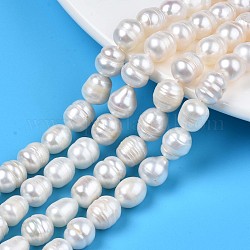 Fili di perle di perle d'acqua dolce coltivate naturali, riso, colore conchiglia, 8.5~10.5x7.5~8.5mm, Foro: 0.8 mm, circa 17~18pcs/filo, 7.28 pollice ~ 7.68 pollici (17 cm ~ 18 cm)