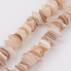 Conchiglia naturale fili di perle, rettangolo, Burlywood, 5~17x5~7x1~4mm, Foro: 1 mm, circa 200pcs/filo, 15.7 pollice
