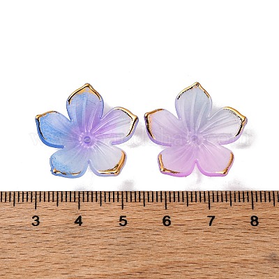 Transparentes bouchons acrylique de perles&nbsp;TACR-P011-03E-1