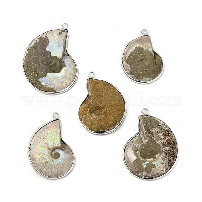 PS11711851 PAX 5 pendentifs - coquillage - Fossile Nautile - Escargot métal  coloré Doré