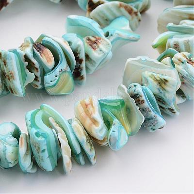 Chapelets de perles en coquillage naturel&nbsp;BSHE-P010-04-1