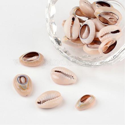 Natural Cowrie Shell Beads X-BSHE-S051-1