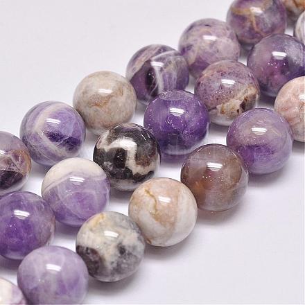 Natural Chevron Amethyst Beads Strands G-D862-45-14mm-1