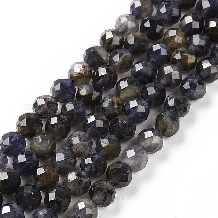 Natural Iolite Beads Strands G-P488-02B-1