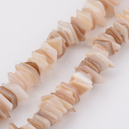 Chapelets de perles en coquillage naturel BSHE-P021-14-1