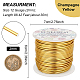BENECREAT 12 Gauge (2mm) Aluminum Wire 100FT (30m) Anodized Jewelry Craft Making Beading Floral Colored Aluminum Craft Wire - Light Gold AW-BC0001-2mm-08-2