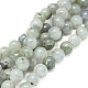 Chapelets de perles en labradorite naturelle  G-G828-01-8mm-1