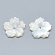 Perles de coquillage blanc naturel SSHEL-S260-080-2
