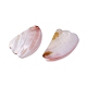 Tableros de gua sha de concha natural de agua dulce SHEL-P015-02-3