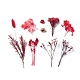 Сушеные цветы DIY-D052-25-2