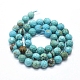 Natural Magnesite Beads Strands G-D0012-01C-2