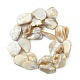 Handmade Shell Beads Strands PBB471-1-2