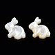 Perlas de concha blanca natural SSHEL-N032-60-3