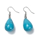 Synthetic Turquoise Dangle Earrings X-EJEW-P143-C17-1