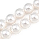Shell-Perle Perle Stränge&nbsp;BSHE-H001-06-1