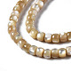 Chapelets de perles de coquille de trochid / trochus coquille SSHEL-S266-018B-02-3