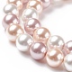 Cuentas perlas de concha de perla BSHE-L017-16-3