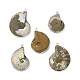Natürliche Conch fossile Anhänger BSHE-E025-03P-1