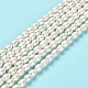 Natural Cultured Freshwater Pearl Beads Strands PEAR-E016-145-2