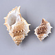 Perles de coquillage naturel SSHEL-T015-04-2