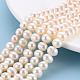 Natural Cultured Freshwater Pearl Beads Strands PEAR-R063-39A-4