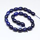 Natural Lapis Lazuli Barrel Bead Strands G-I116-02-2
