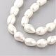 Collane di perline di perle naturali NJEW-R249-11-2