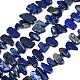 Natürlicher Lapislazuli Perlenstränge&nbsp;G-L657-E01-01-2