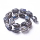 Natural Labradorite Beads Strands G-P434-38-1