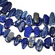 Natürlicher Lapislazuli Perlenstränge&nbsp;G-L657-E01-01-4