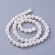 Chapelets de perles de coquillage SSHEL-E571-38-6mm-2