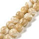 Brins de perles de coquillages naturels de troca SHEL-K006-18D-1