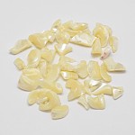 Coquille de trochide naturelle sans trou / perles de copeaux de coquille de trocas, tessons shell, jaune verge d'or clair, 5~12x3~5mm
