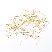 Железные крючки для сережек IFIN-T001-05G-NF