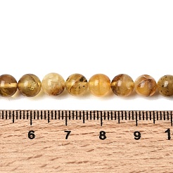 Naturbernsteinperlen Stränge&nbsp;G-K376-H01-01