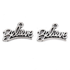 Tibetischer stil Aluminium Anhänger & Charms&nbsp;PALLOY-T075-136AS-RS