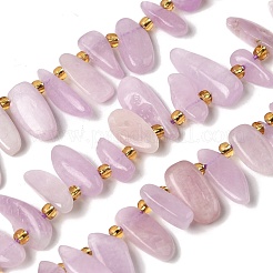 Naturperlen Stränge kunzite&nbsp;G-P604-A26-01