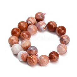Fili di perle di agata rosa messicana naturale&nbsp;GG-CBA07EB-A01-01