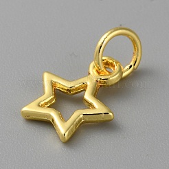 Aluminium Anhänger & Charms&nbsp;FIND-WH0159-63G-12