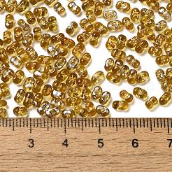 Rociar abalorios de la semilla de cristal pintadas&nbsp;SEED-F005-03A-02