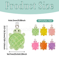 10pcs pendentifs en résine transparente&nbsp;RESI-TA0004-69