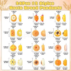 24pcs 12 styles de pendentifs en résine&nbsp;RESI-CJ0003-99